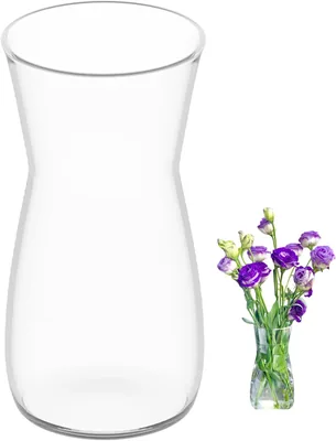 Vaso in vetro CiciIng da 20 cm