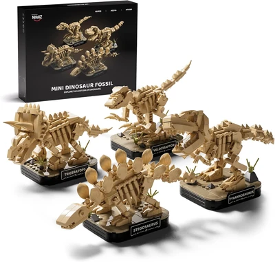 Nifeliz quatre fossiles de dinosaures